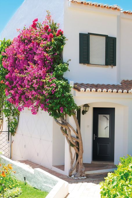 porte d'entrée sur maison provençale