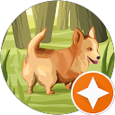 Samuel Pothier profile picture